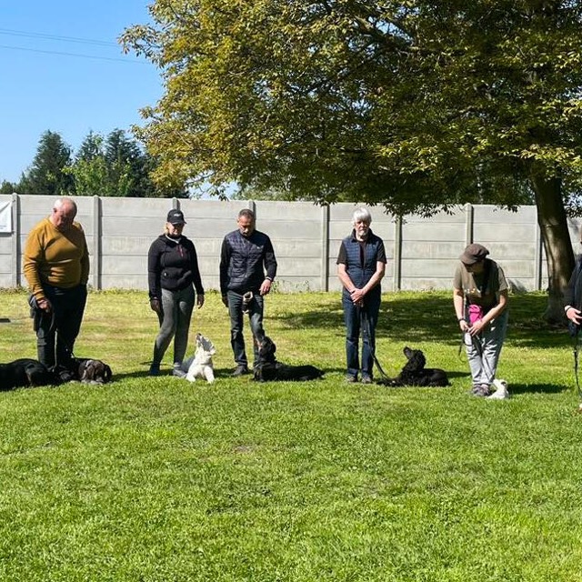 Un cours collectif sur la pelouse du domaine : maîtres et chiens alignés