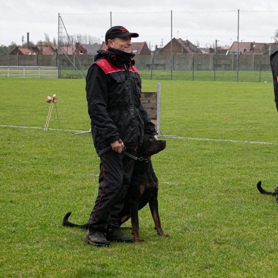 Un exercice d'obéissance sur le terrain, le chien assis face à son maître